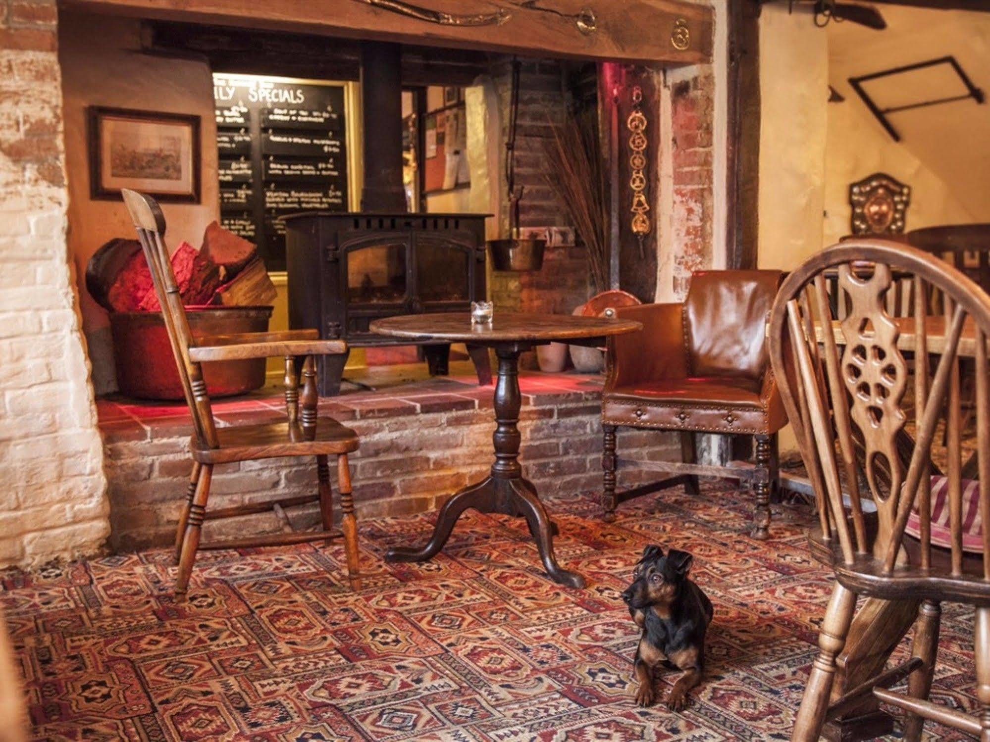 The Hatchet Inn Chute Kültér fotó